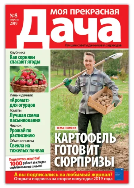 Моя прекрасная дача