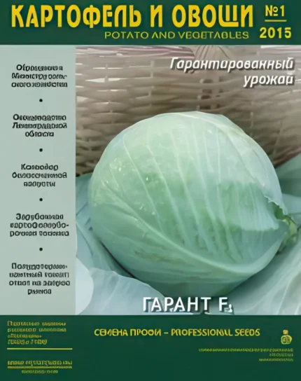 Картофель и овощи