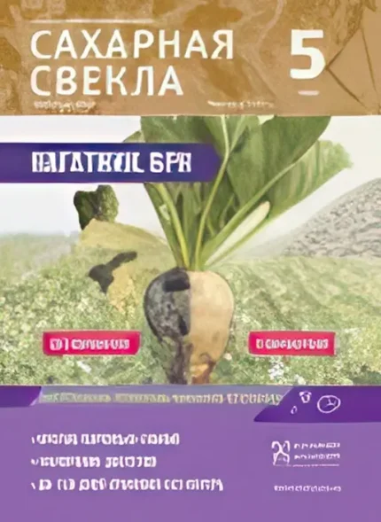 Сахарная свекла